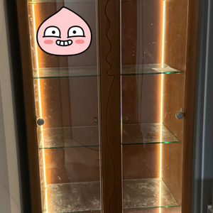 LED 원목장식장 나무장식장 팔아요!!