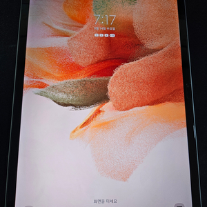 갤럭시 탭s7 wifi 128gb 상태 좋음!!