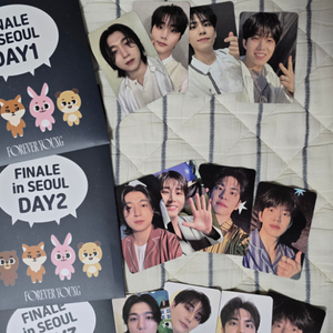 데이식스 포에버영 콘서트 첫주기프트 포카 분철
