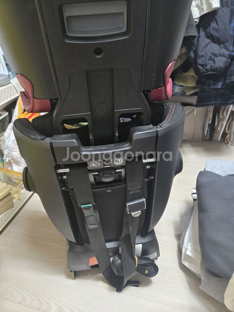 브라이텍스 카시트--1