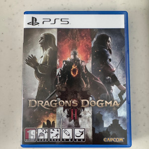 ps5 드래곤즈 도그마2