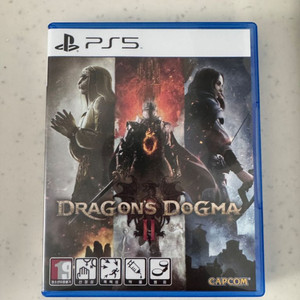 ps5 드래곤즈 도그마2