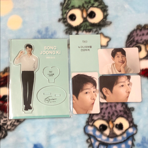 송중기 닥터지 굿즈(등신대,포카)