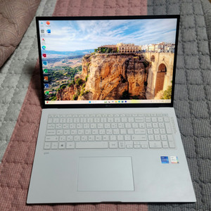 LG그램 노트북 17ZD90P i7 11세대,512G