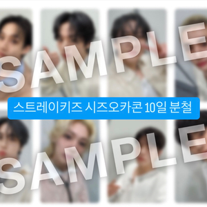 스트레이키즈 스키즈 시즈오카콘 10일 방찬 리노 현진