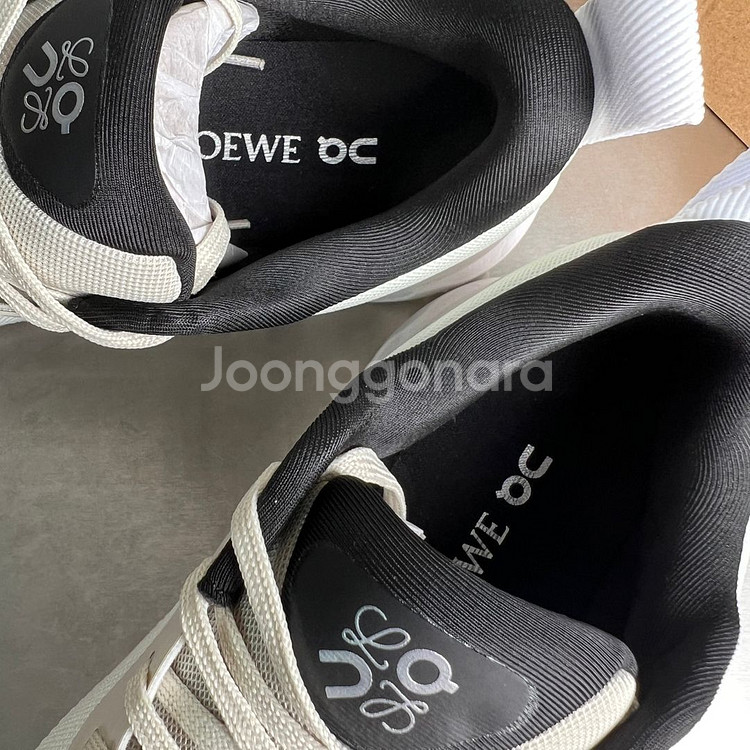 Loewe Sports shoes--5