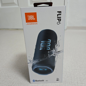 jbl flip6