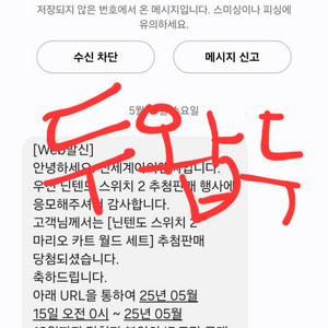 닌텐도 스위치2 마리오카트 세트