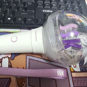 성시경 응원봉