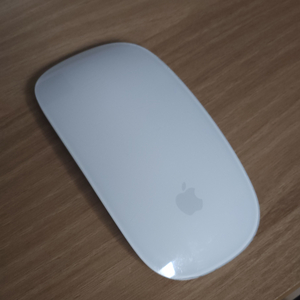 애플 매직 마우스 2 단품 Apple Magic Mou
