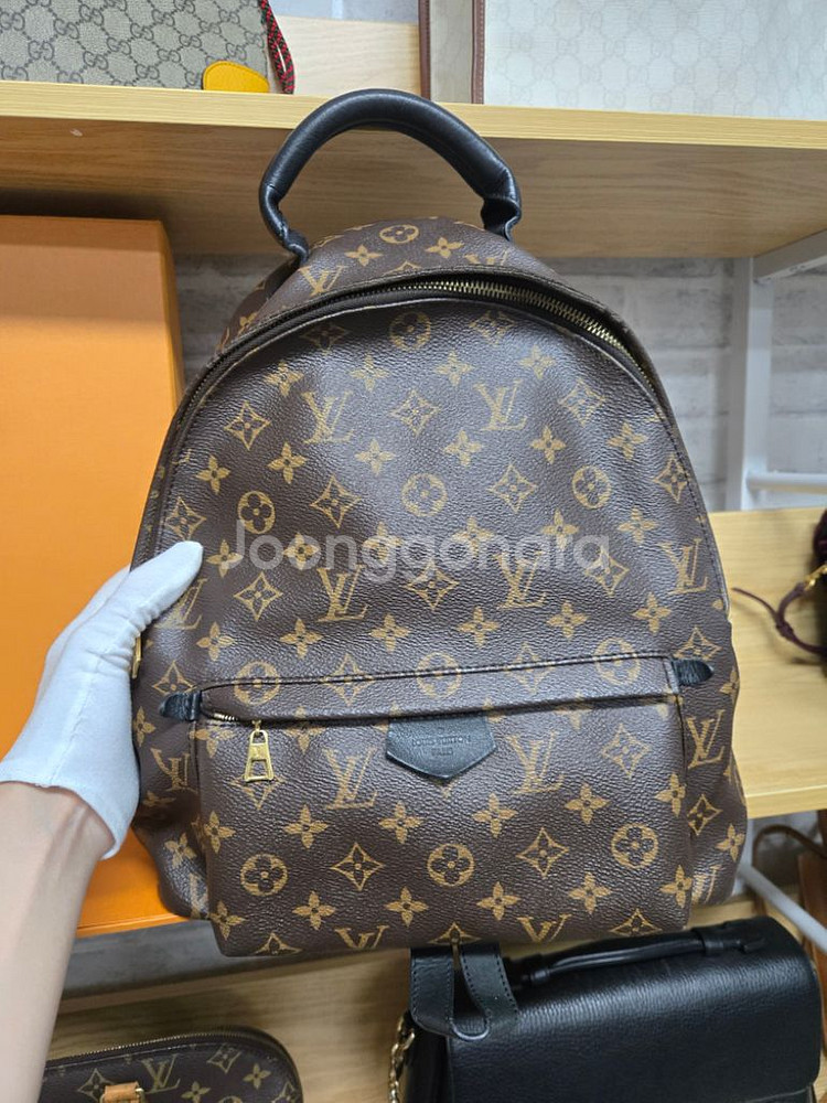 [정품]루이비통 팜스프링 백팩--1