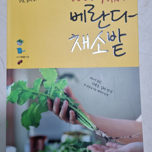 왠만한건 다 키워먹는 베란다 채소밭