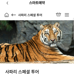 에버랜드 사파리스페셜투어 로스트밸리스페셜투어 5월
