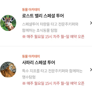 에버랜드 사파리스페셜투어 로스트밸리스페셜투어 5월