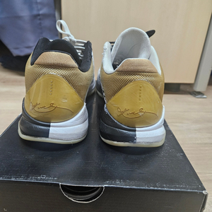 정품!!코비270 빅스테이지