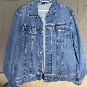 A.P.C 청자켓