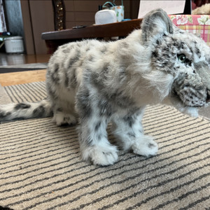 (택포)한사토이 설표범 인형 76cm
