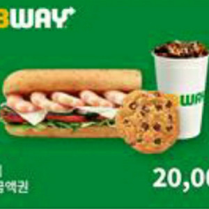 써브웨이 2만원권(분할사용가