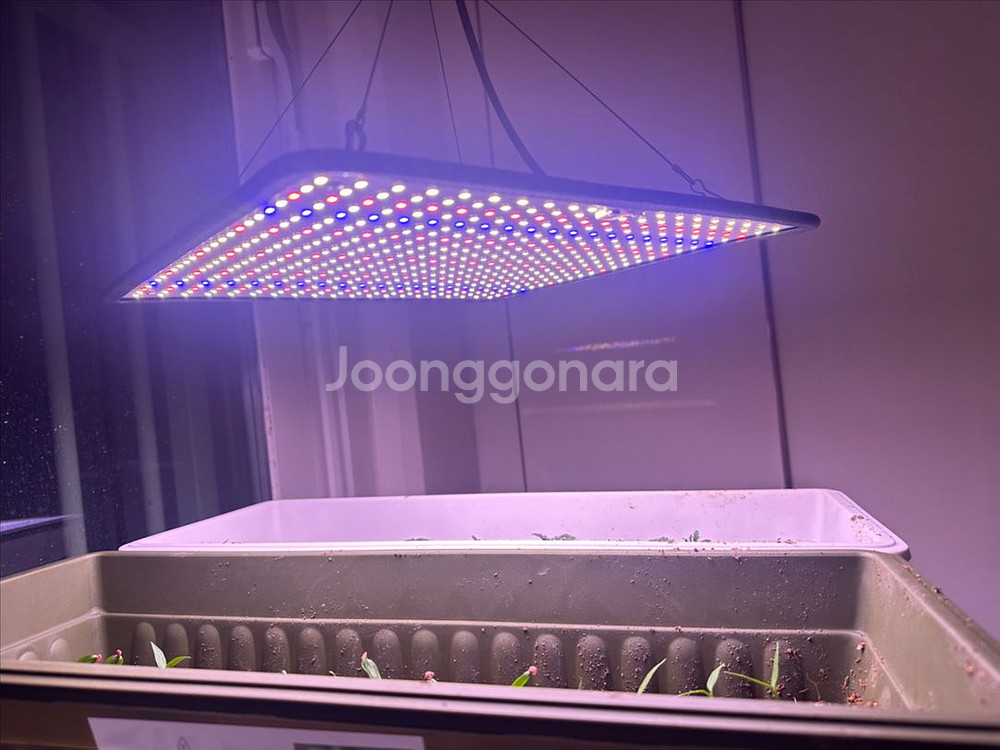 식물등 / 식물성장등 / 식물 LED / 풀스펙트럼조명--2