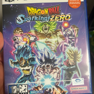 PS5 스파킹제로