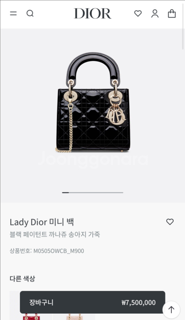 디올레이디백미니블랙--9