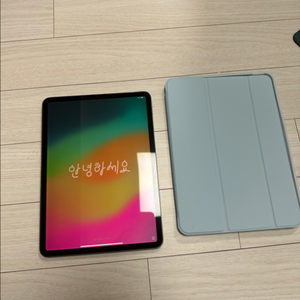 아이패드 프로 1세대 11인치 256gb 스그