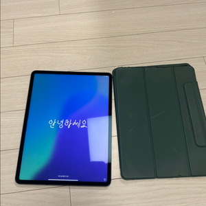 아이패드 프로 5세대 12.9 256gb 셀룰러 스그