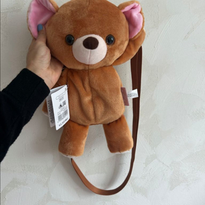 도쿄디즈니랜드 곰돌이크로스백