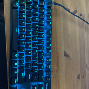 apex pro tkl 2023 래피드트리거 키보드