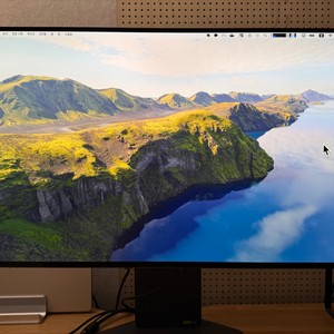 LG 울트라기어 32GS95 4K 240hz 모니터