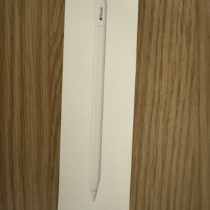 Apple 정품 애플펜슬 Pencil (USB-C)