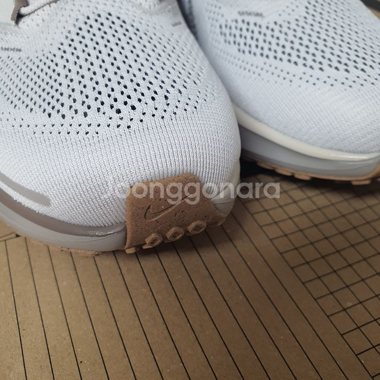 나이키 여성운동화 페가수스FD2723-008 (250)--3