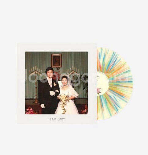 검정치마 팀베이비 lp--0