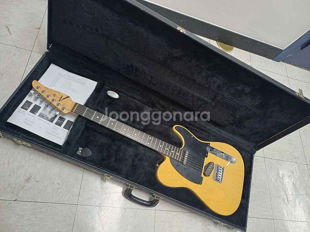 Tom Anderson Hollow T Claasic--1