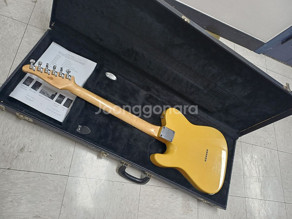 Tom Anderson Hollow T Claasic--2