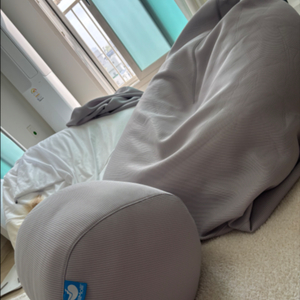 폴리몰리 빈백 세트