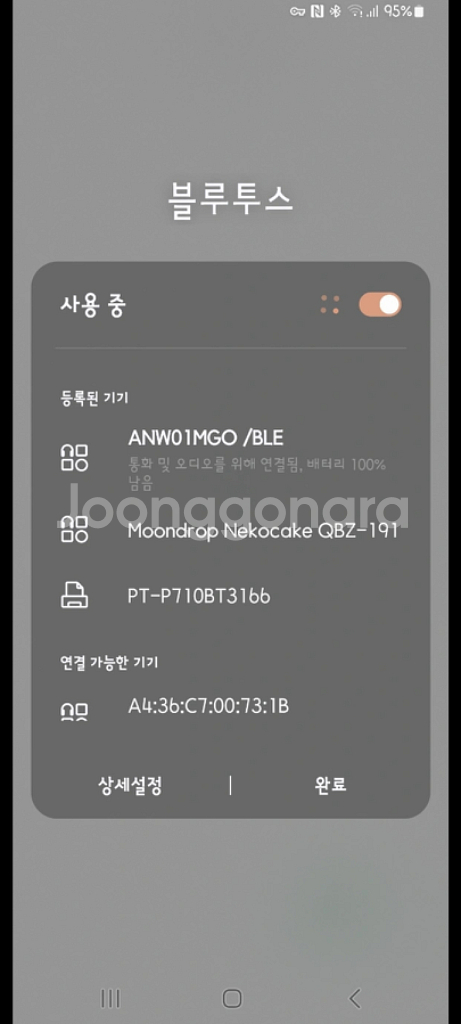 호시마치 스이세이 이어폰--2