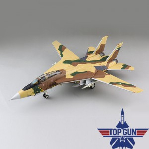 1/72 F-14A Tomcat 톰캣 전투기모형