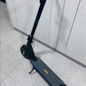 나인봇맥스 G30