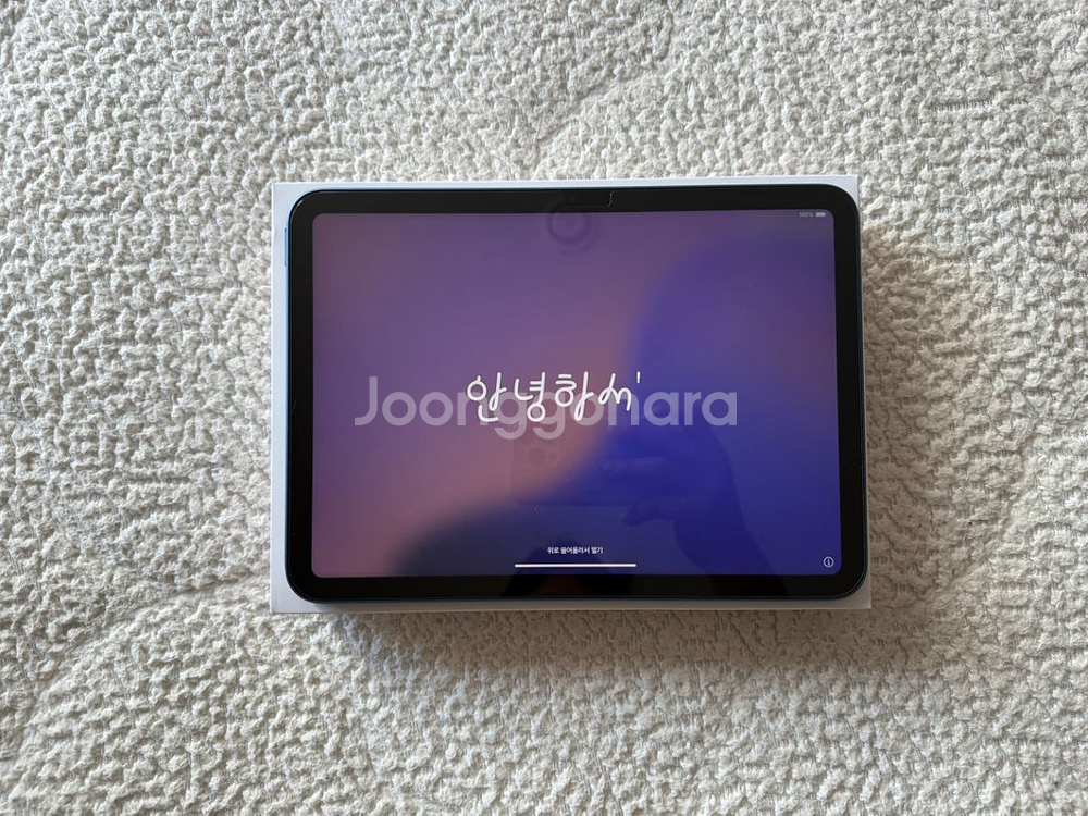아이패드 10세대 Wi-Fi 64GB 블루--0