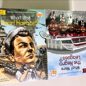 What Was...? 챕터북 31종 세트 새상품