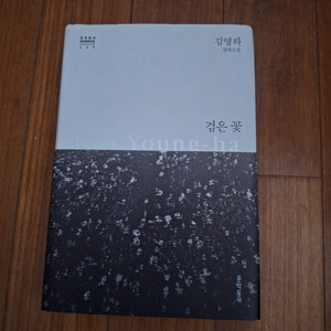 # 검은 꽃(김영하 장편소설)