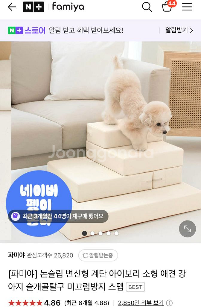 강아지계단--2
