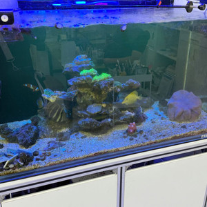 해수 어항 일괄 판매합니다!