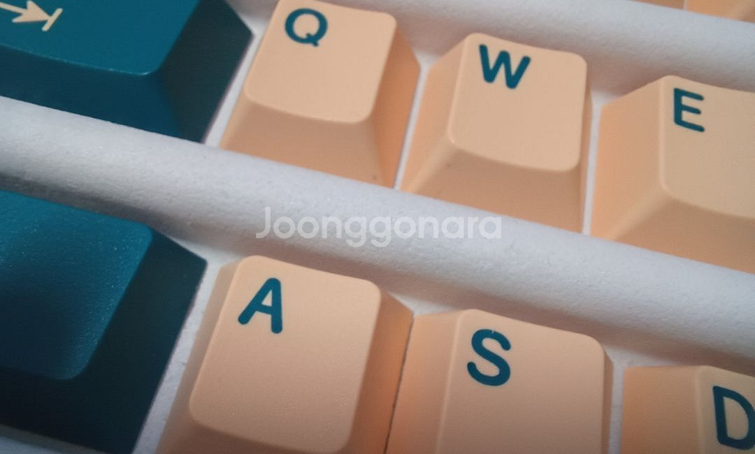 GMK Earth Tones Base+Novelti 팜--2