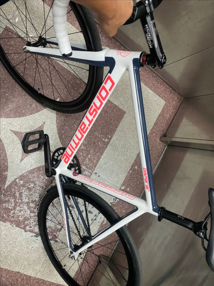 콘스탄틴 디스페랄 판매/대차 (대전만) 이미지