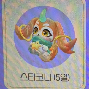 카러플 스타코니 5일 (개당 800)