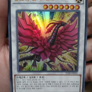 유희왕 월화룡 블랙 로즈 LIMITED edition