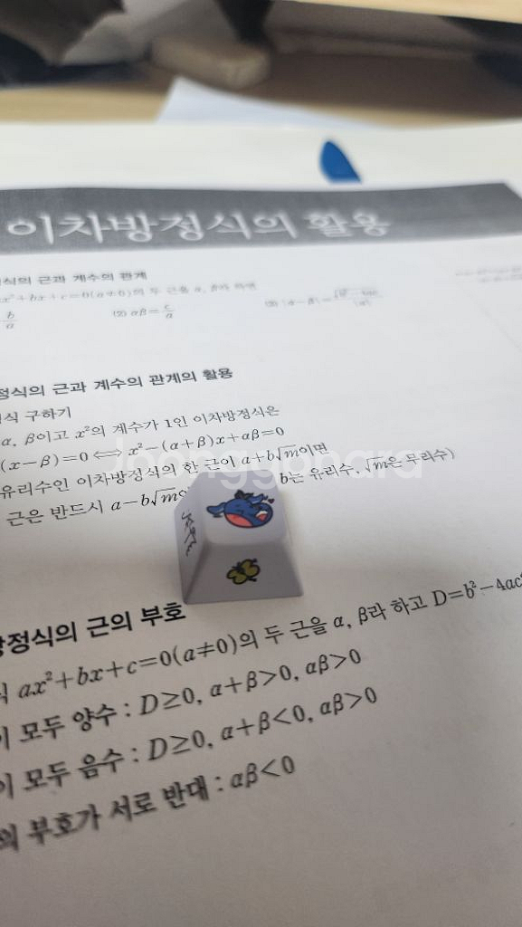 이세돌 릴파 키캡 (개봉)--0