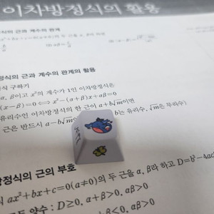 이세돌 릴파 키캡 (개봉)